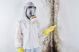 Best Commercial Mold Inspection  in Hamtramck, MI